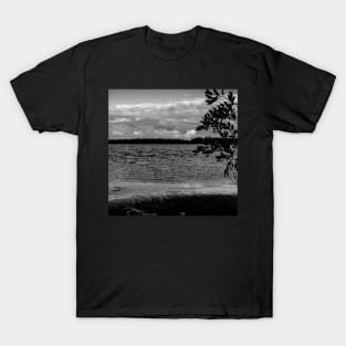 Crimson Lake in black and white T-Shirt